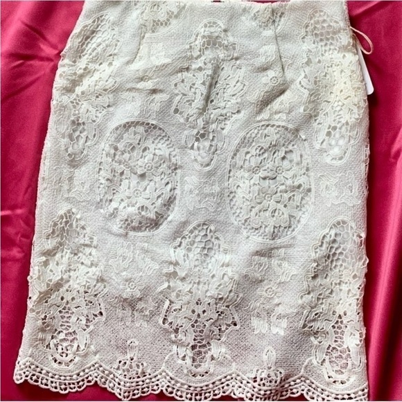 L'ATISTE Elegant Lace Top with Matching Skirt - Picture 12 of 13